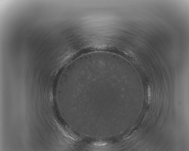 X0000059240500200510211606