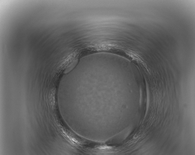 X0000059240501200510211606