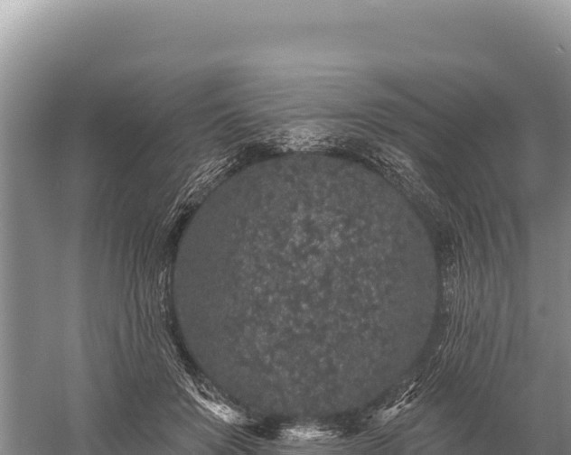 X0000059240503200510211606