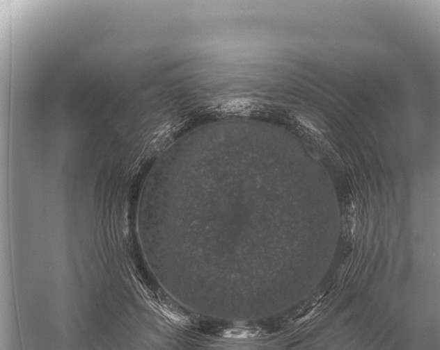 X0000059240504200510211606