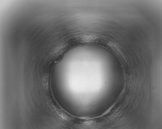 X0000059240505200510211606