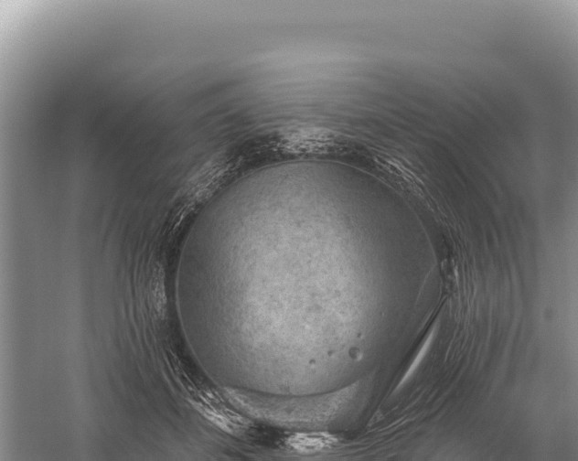 X0000059240508200510211606