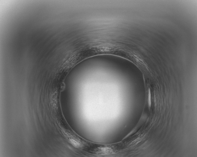 X0000059240509200510211606