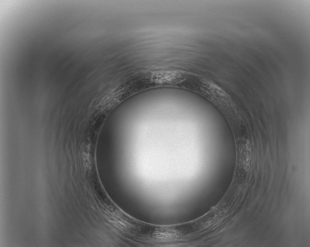 X0000059240510200510211606