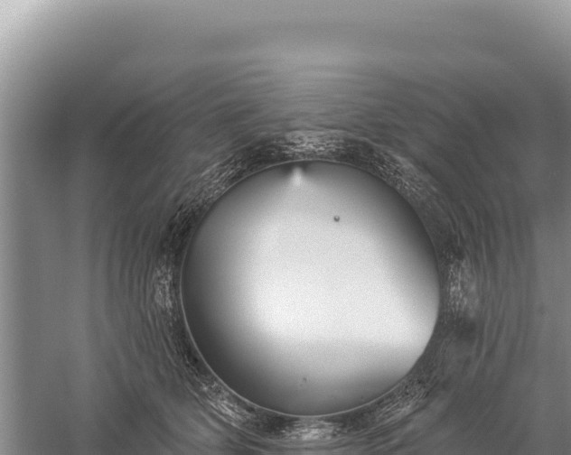 X0000059240514200510211606