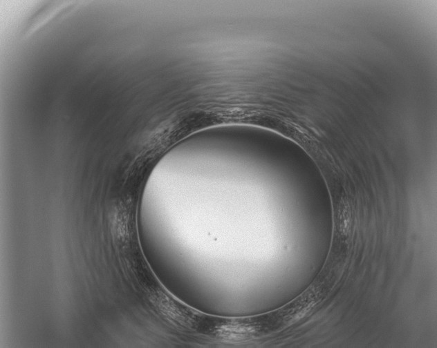 X0000059240515200510211606