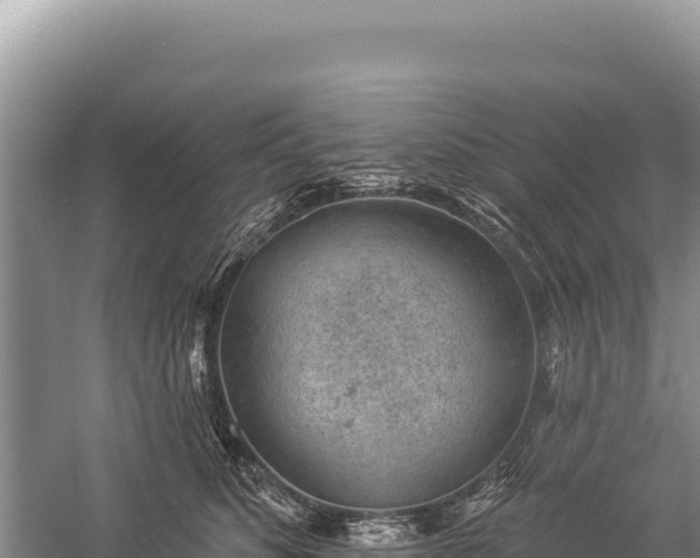 X0000059240516200510211606