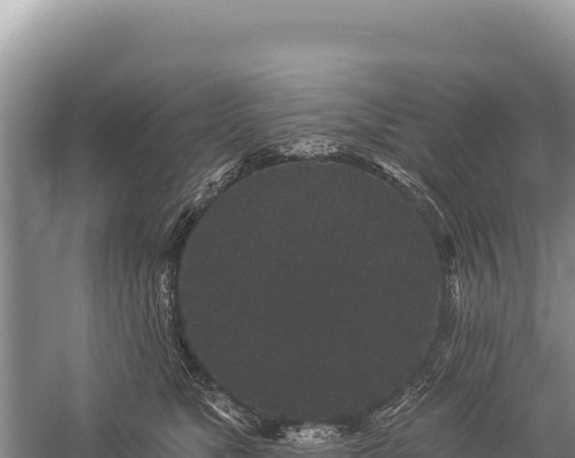 X0000059240517200510211605