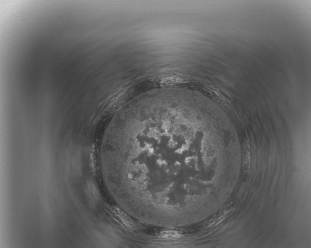 X0000059240519200510211605