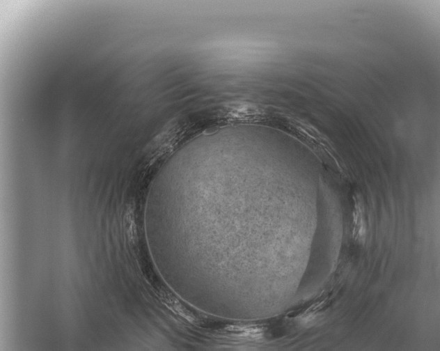 X0000059240520200510211605