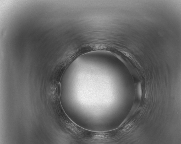 X0000059240521200510211605