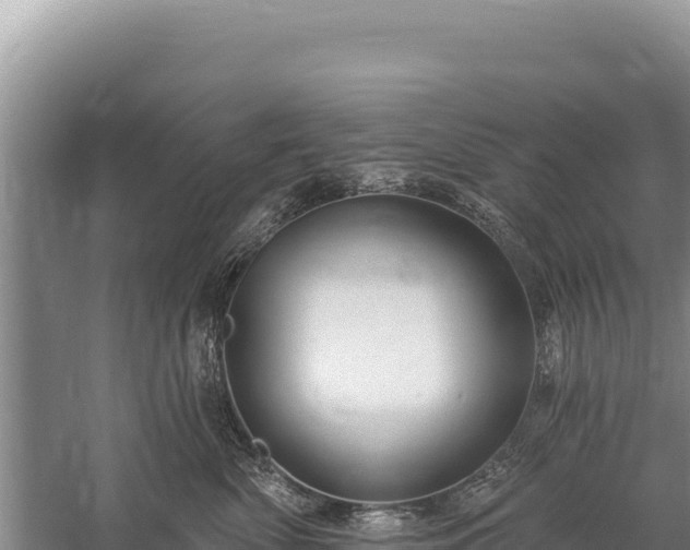 X0000059240522200510211605