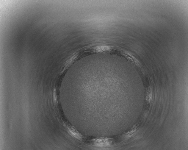 X0000059240524200510211605