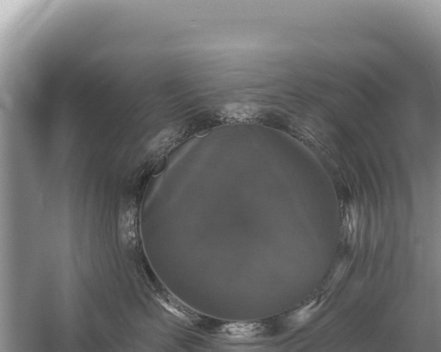 X0000059240526200510211605