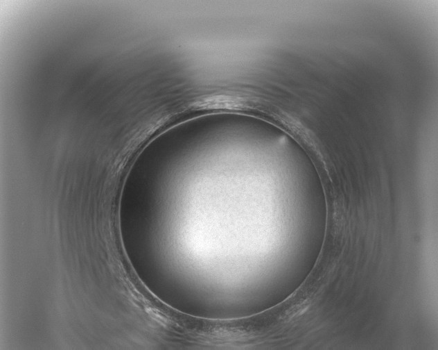 X0000059240529200510211604