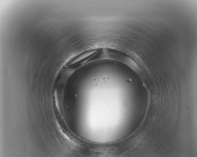 X0000059240530200510211605