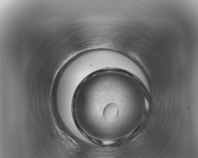 X0000059240532200510211605