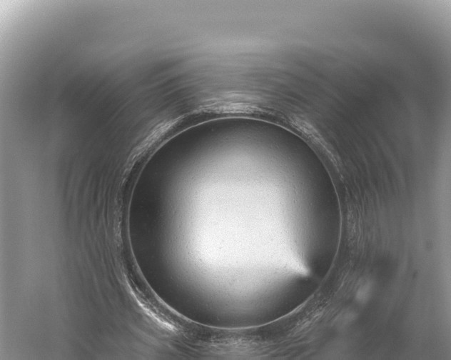 X0000059240533200510211605