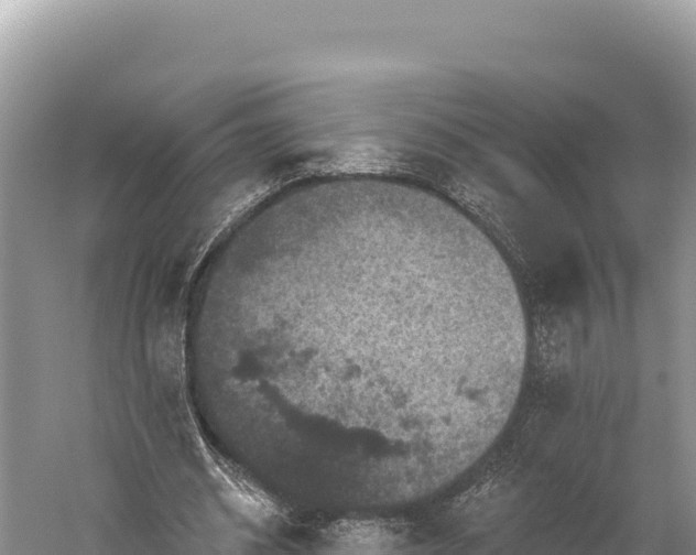 X0000059240534200510211605