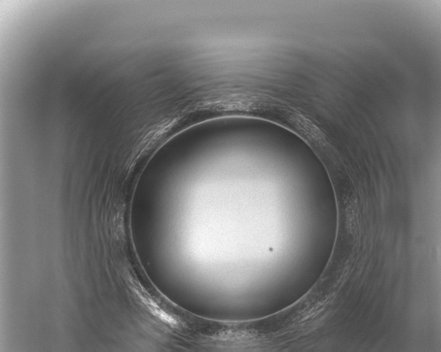 X0000059240537200510211605