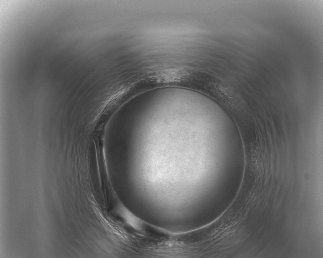 X0000059240543200510211605