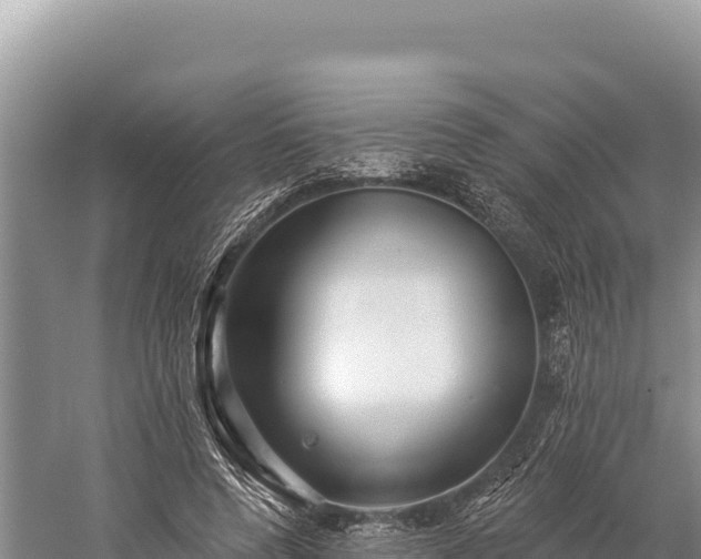 X0000059240544200510211605