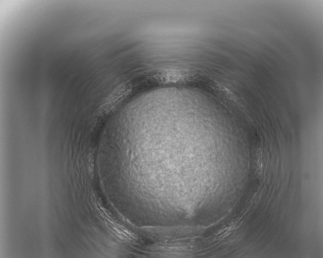 X0000059240545200510211605