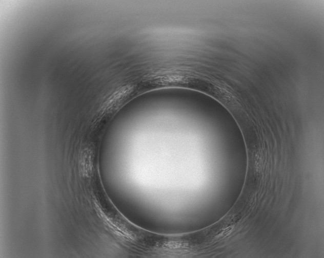 X0000059240546200510211605