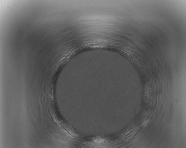 X0000059240547200510211605