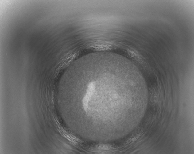 X0000059240549200510211605