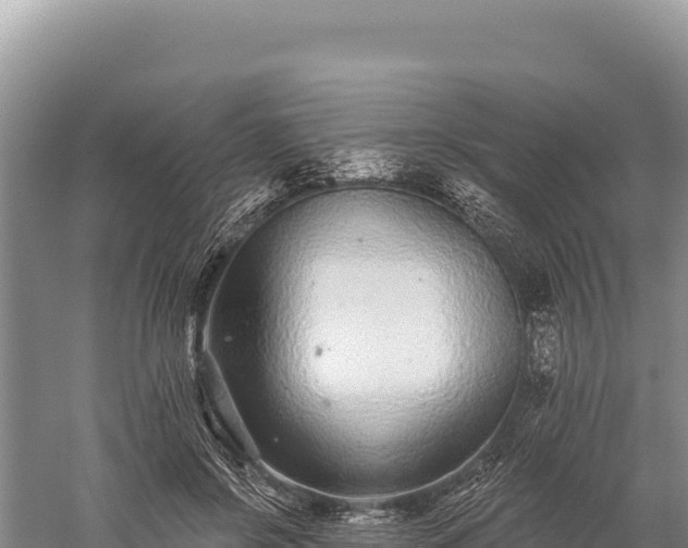 X0000059240550200510211605