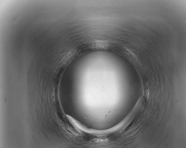 X0000059240552200510211605