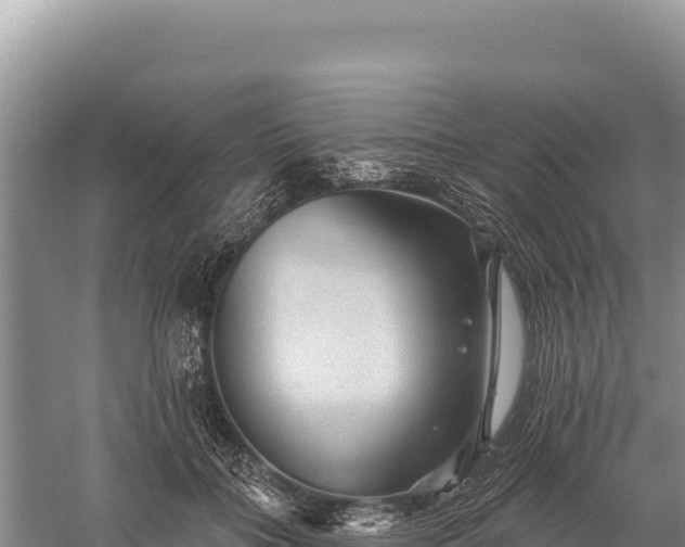 X0000059240555200510211605