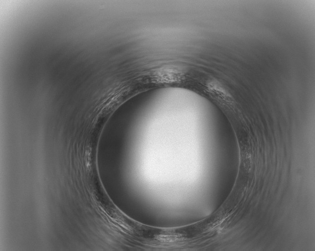 X0000059240556200510211605