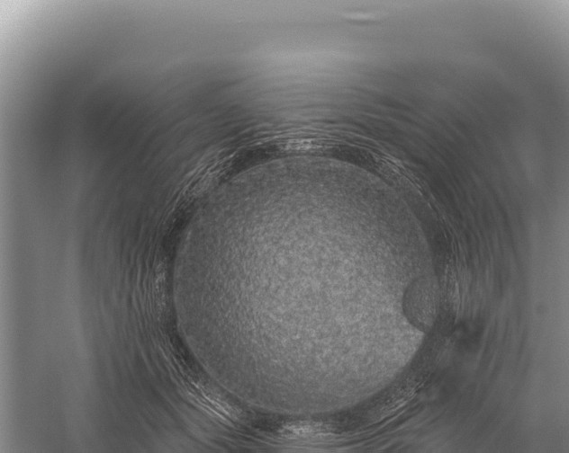 X0000059240557200510211605