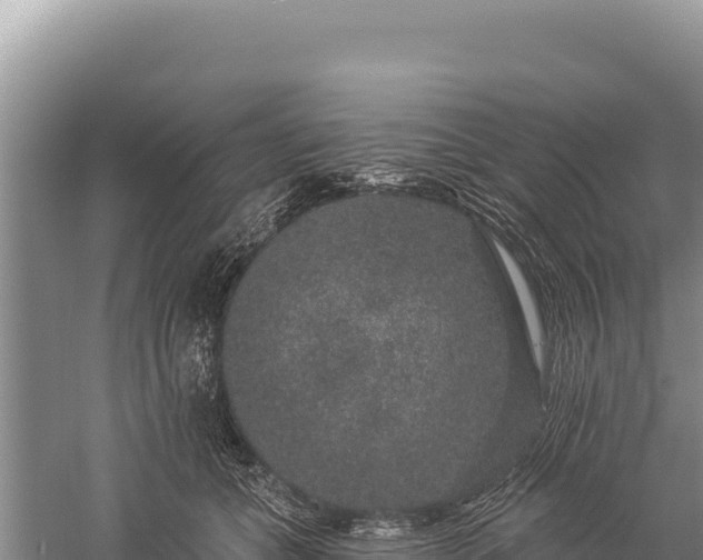 X0000059240559200510211605