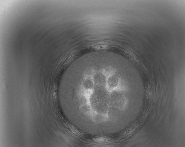 X0000059240561200510211605