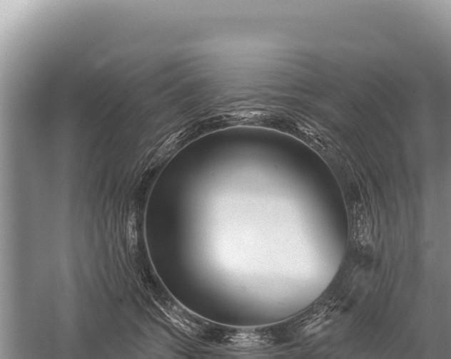 X0000059240562200510211605