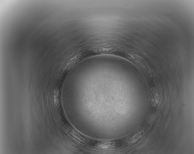 X0000059240563200510211605