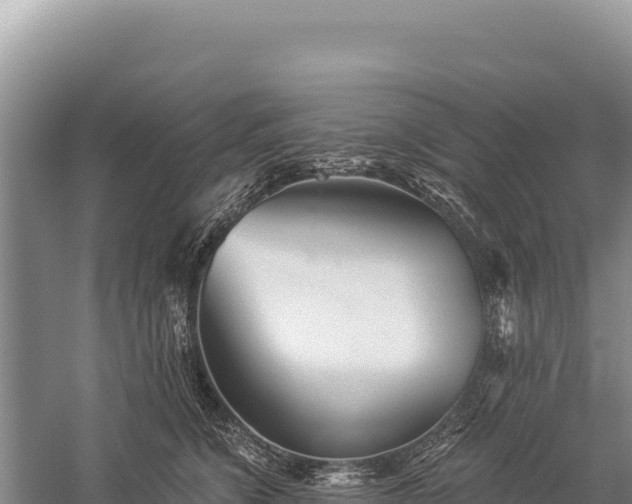 X0000059240564200510211605