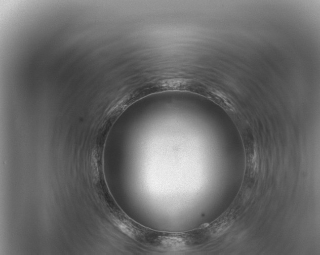 X0000059240572200510211605