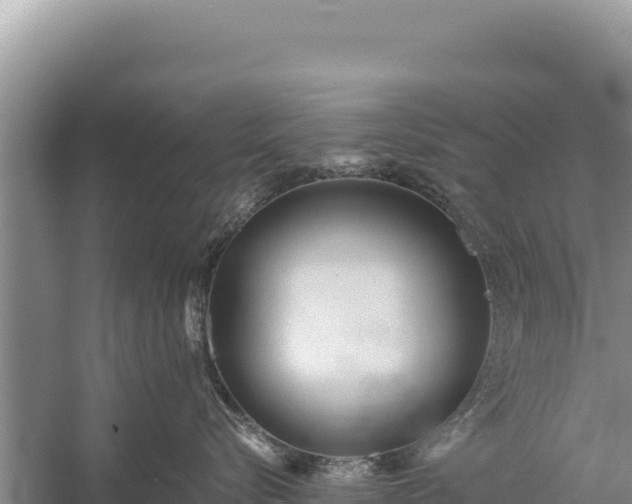 X0000059240576200510211605