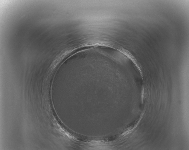 X0000059240577200510211604