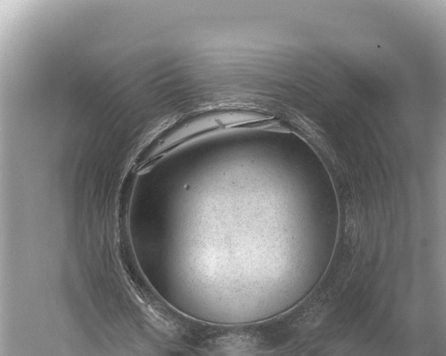 X0000059240578200510211604