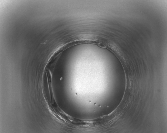 X0000059240580200510211604