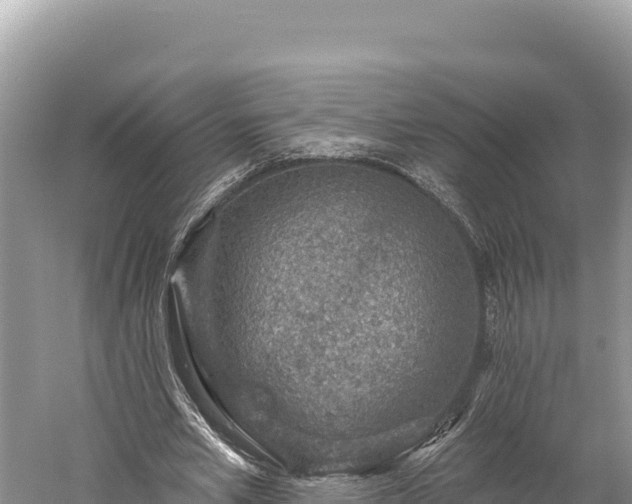 X0000059240581200510211604