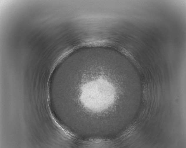 X0000059240582200510211604