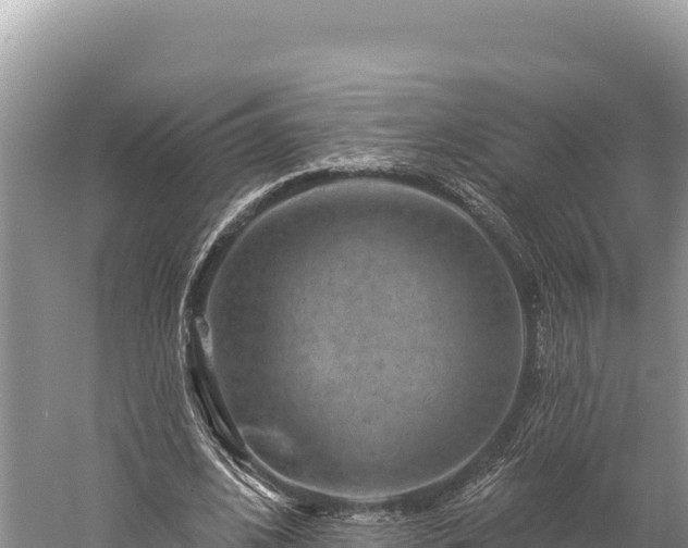 X0000059240584200510211604