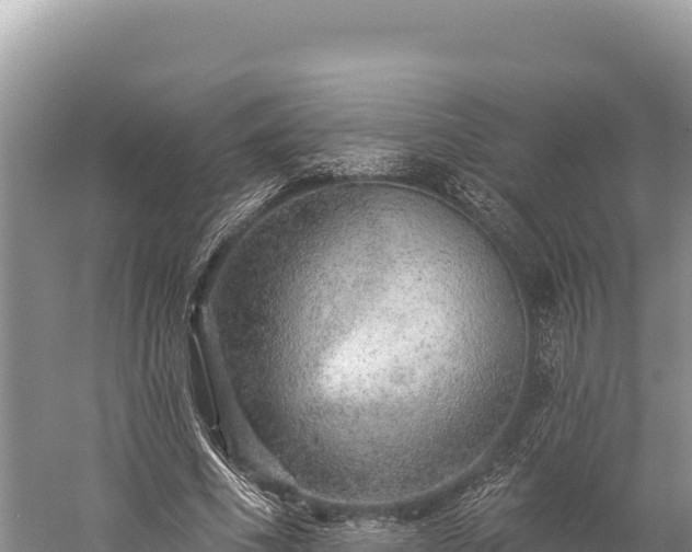 X0000059240586200510211604