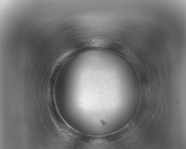 X0000059240587200510211604